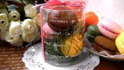 マカロン5色 5セット詰め合わせ