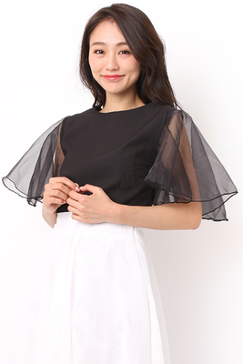 袖オーガンジーショートトップス