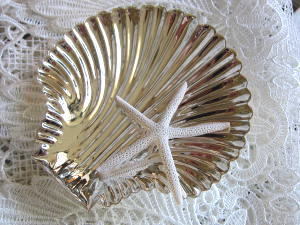 シルバーシェルプレートＬ