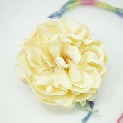 CANDY RICH BOTAN NPS