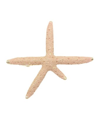 【Shelly island】スターフィッシュバレッタ