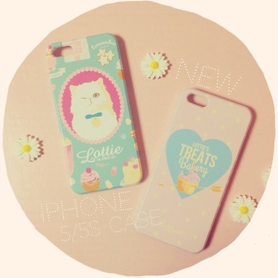 iPhone5/5sケース2種類