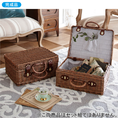 トランクケースV45