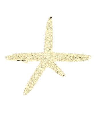 ヒトデバレッタ