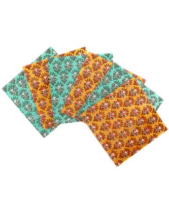 カピスシェルコースター