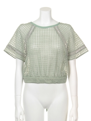 オーガンジー刺繍トップス