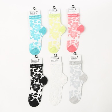 シースルーハイビスカス