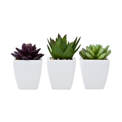 ティエラ グリーンオブジェ (3種セット)