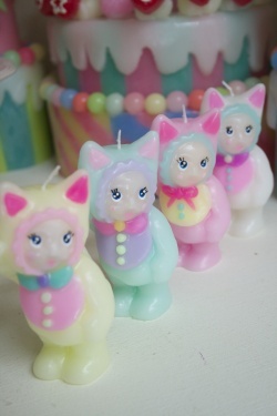 Little Pocket Friends_Cat