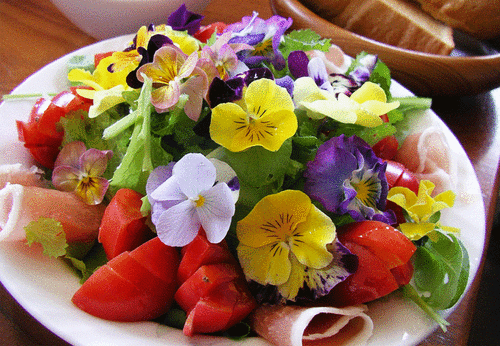エディブルフラワー