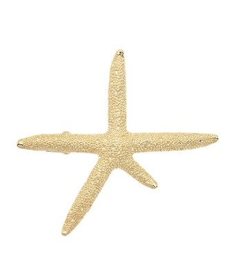 スターフィッシュバレッタ