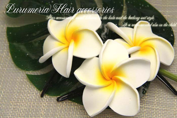 プルメリア(フランジパニ)のヘアクリップ