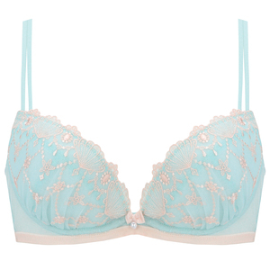 究極のランジェリー ブラジャー