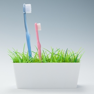 歯ブラシホルダー(グラス)