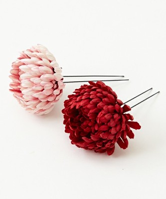 ぽんぽん菊ツインＵピン