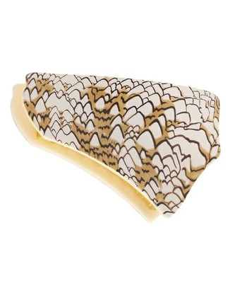 アクリル シェルプリント ヘアクリップ