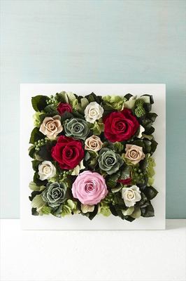 フレームローズラージ(ピンク)