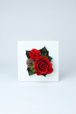 ホワイトスクエアフレームM レッド