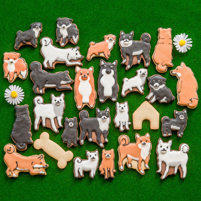 食べたいくらい君が好き！　柴犬まみれアイシングクッキーの会