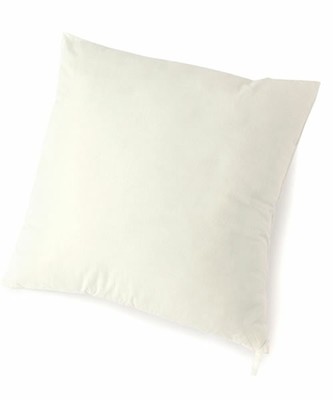 QE39 ヌードクッション