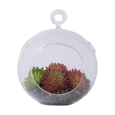 カーロ 多肉ポット レッド 