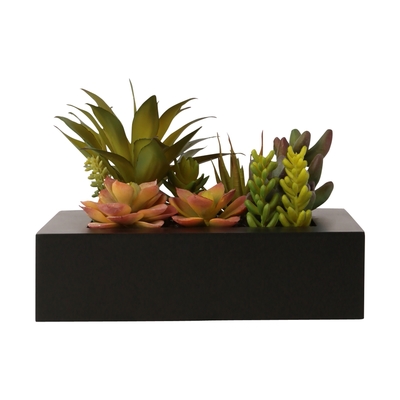 カーロ 多肉ポット スクエア M