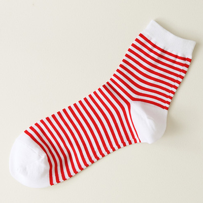 細ボーダーソックス