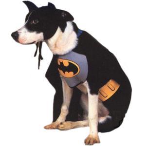犬服 バットマン スーツ なりきり バットマン コスプレ バットマン & ロビン Mr.フリーズの逆襲 グッズ ペット 