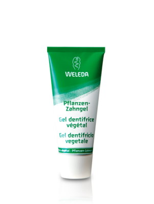 歯みがき ハーブ