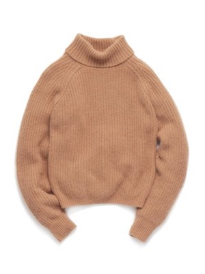 フェレットタートルトップス