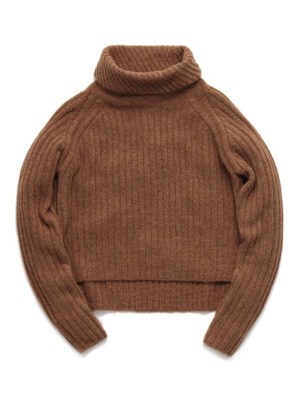 変形リブタートル