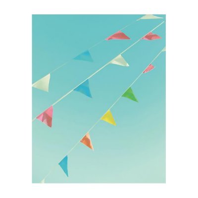 ORANGE AIRLINES スクラップフリーアルバム M アクティブ