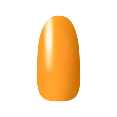 ネイルホリック OR203