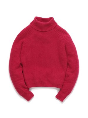 フェレットタートルトップス