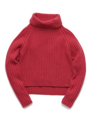 変形リブタートル