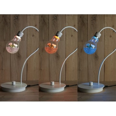 bulb terrarium color