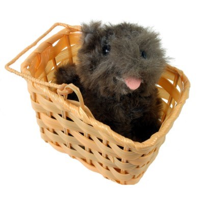 トトが入ったバスケット ドロシー用　大人女性用 オズの魔法使い