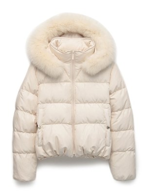 ショトダウンコート