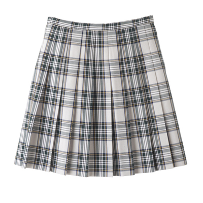 プリーツスカートチェック