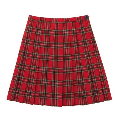 プリーツスカートチェック