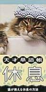 天才単語帳休息 猫が教える休息の方法