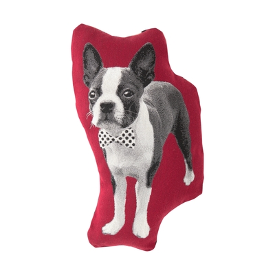 リーザ クッション レッド