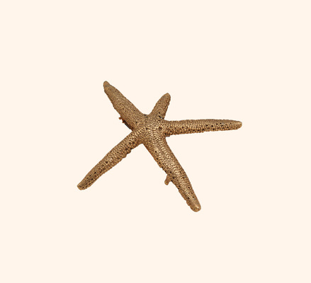 PLUIE STARFISH Barretta プリュイ　スターフィッシュバレッタ