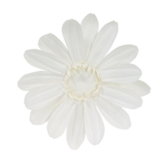 ウォールフラワー GERBERA S ホワイト