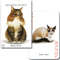 フランス　猫のトランプ 