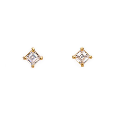 商品名 4mm Square 45°- 4 Claw Posts