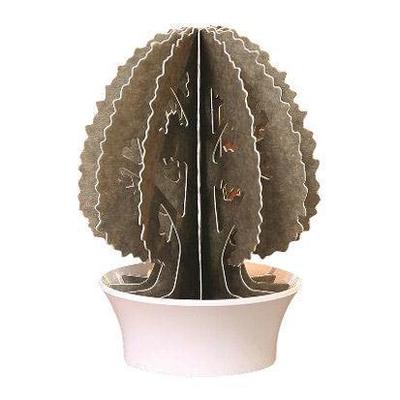 ペーパーモイストーリー　エバーグリーン