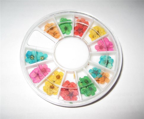 ドライフラワーネイルアートデザイン12色