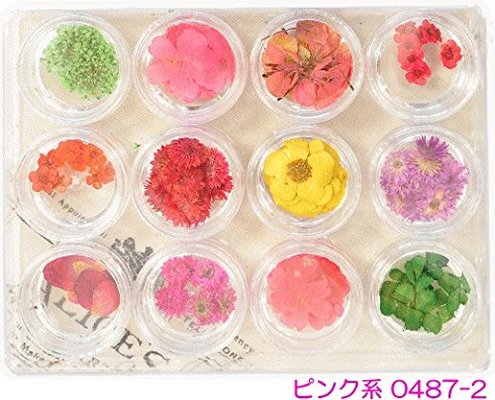 押し花（フラワーチャーム）セット　ピンク系　１２種類合計１２０枚