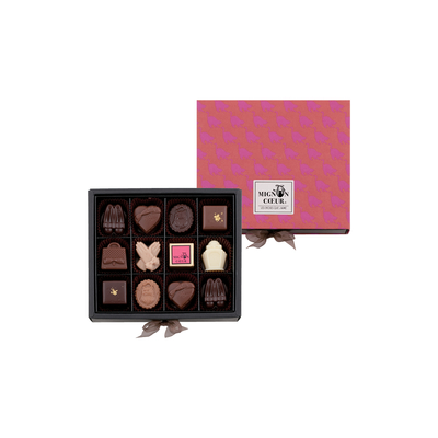 ミニョンクール 12個入